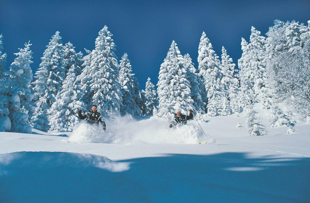 Gastager Ruhpolding